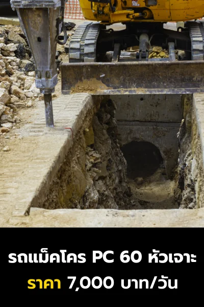 Artboard 1 copy 5@300x